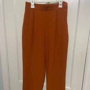 American Apparel dress pants, side zipper, button